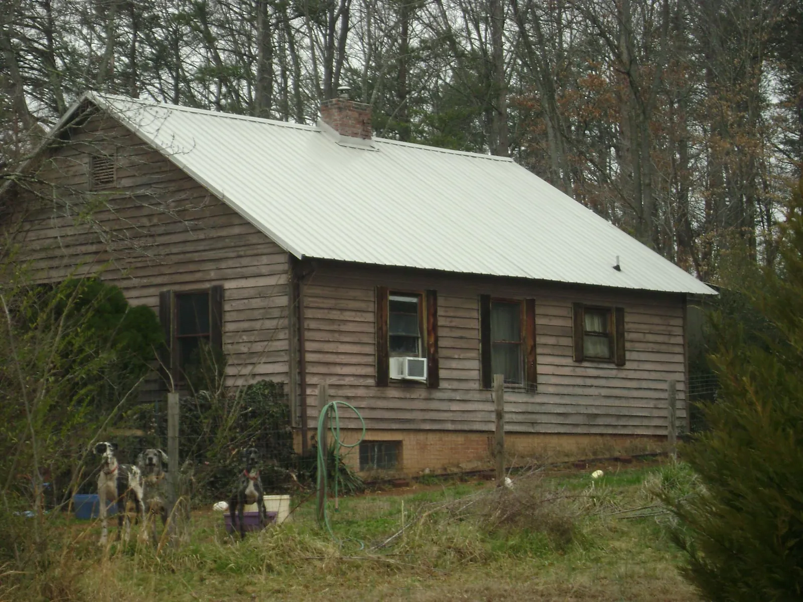 White metal roof on an old wood sided farmhouse, from a Asphalt Shingle Roof Repair job in Middle Point